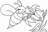 Bumble Colorir Desenhos Hummel Abelhas Cool2bkids Malvorlagen Bumblebee Honey Template Attitudes Getcolorings Abelha Transformers sketch template