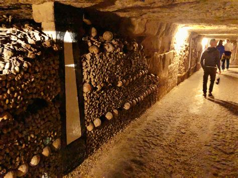 guided visit   paris catacombs  sight   million skeletons berkeley