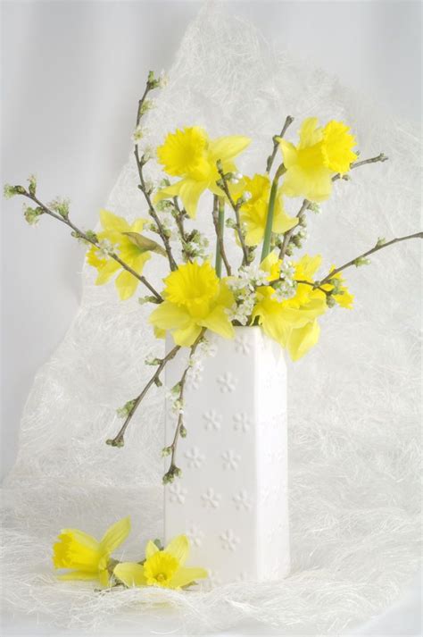 daffodil flower flowers bouquet easter flowers