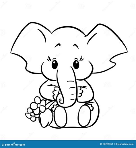 elephant stock image image