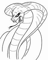 Cobra Snake Coloring Pages King Drawing Head Clipart Printable Viper Scary Animals Color Animal Realistic Cool Snakes Fangs Striking Clip sketch template