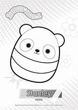 Squishmallows Stanley Kitty sketch template