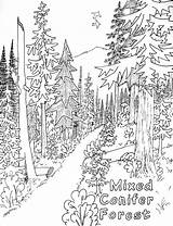 Nature Coloring Pages Print Printable Kids sketch template
