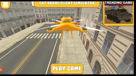 cat drone flight simulator youtube