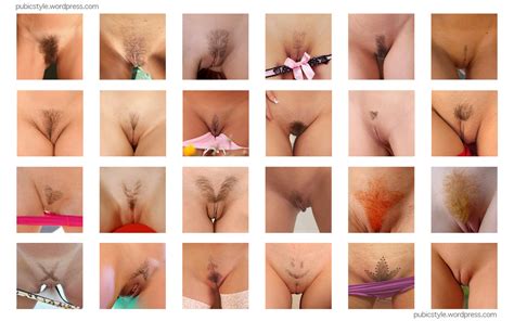 Pubic Styles Hairy Pussy Sorted By Position Luscious
