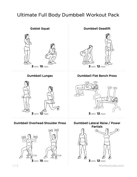 Ultimate Full Body Dumbbell Workout Pack For Men And Women