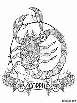 Zodiac Coloring Scorpio Pages Signs Sign Mandala Adults Book Fotolia Printable Colouring Scorpion Adult Getcolorings Color Choose Board Au sketch template