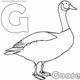Coloring Pages Geese Comments sketch template