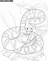 Rattlesnake Coloring Diamondback Pages Getdrawings Getcolorings sketch template