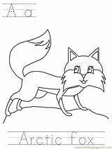 Arctic Fox Coloring Pages Colouring Comments Library Clipart Coloringhome sketch template
