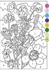 Coloring Zahlen Flowers Ausdrucken Adultos Erwachsene Numeros Blumen Stylowi Gemerkt Frühling Swojej sketch template