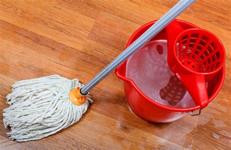 cleaning  wet floors  mop  red bucket  washing water living  spending