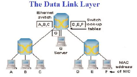 data link layer assignment  computer network assignment