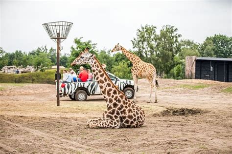 beekse bergen safari park tilburg