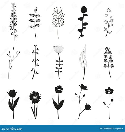 set  flower elements  design stock vector illustration