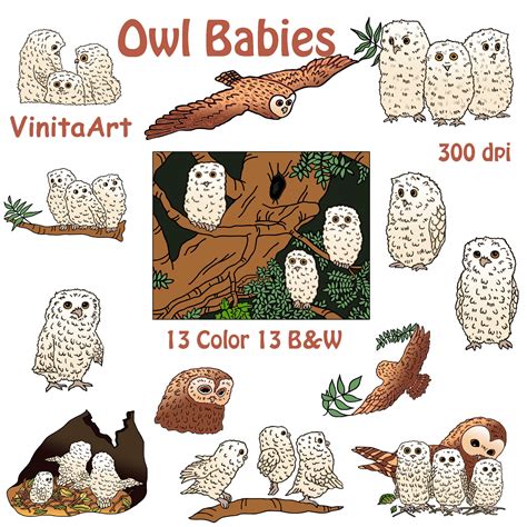 owl babiesstory book clip art digital downloadprintable etsy australia
