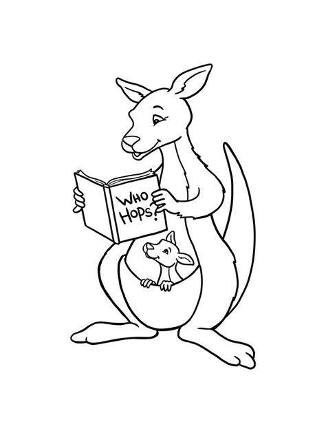 kangaroo drawing images     drawings