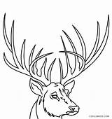 Deer Cool2bkids Antlers Hirsch Hirschgeweih Antler Buck sketch template