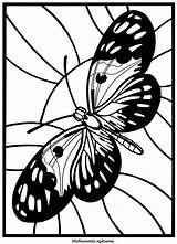 Coloring Dover Books Butterfly Publications Stained Glass Doverpublications Color Welcome Pages Visit Butterflies Smith Book Beautiful sketch template
