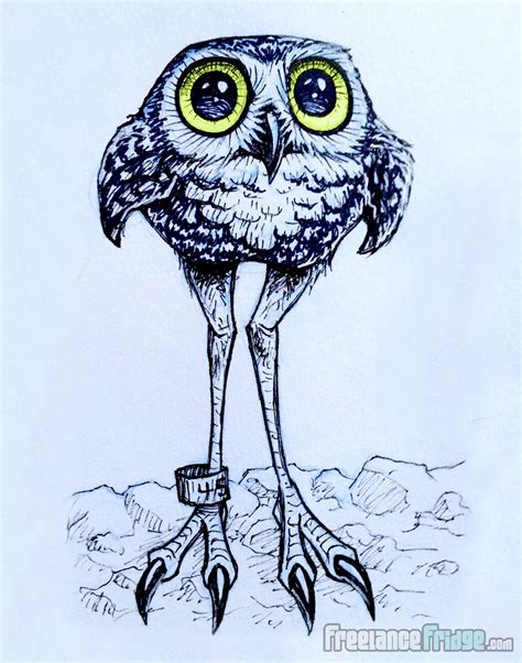 burrowing owl cartoon drawing freelance fridge illustration