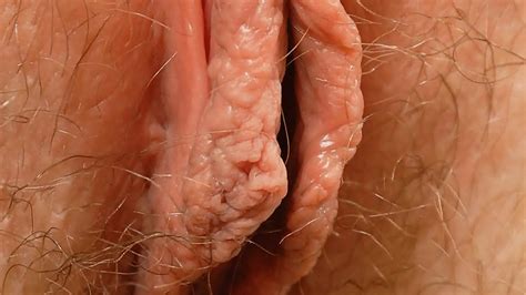 Female Textures Stunning Blondes Hd 1080p Vagina Close Up Hairy Sex