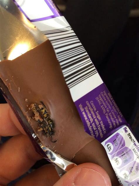 Cadbury Investigates After Wasp Found In Chocolate Bar