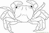 Crab Christmas Island Red Coloring Pages Coloringpages101 Ausmalbilder Color Auswählen Pinnwand Kids sketch template