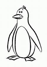 Penguin Coloring Pages Cartoon Penguins Clipart Color Colouring Printable Kids Emperor Winter Drawing Silly Enjoy Pittsburgh Clip Penquin Sheets Life sketch template