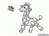 Coloring Giraffe Pages Cute Print Everfreecoloring sketch template