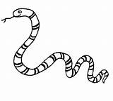 Snake Garter Getdrawings Drawing Coloring sketch template