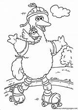 Sesame Coloring Pages Bird Street Big sketch template