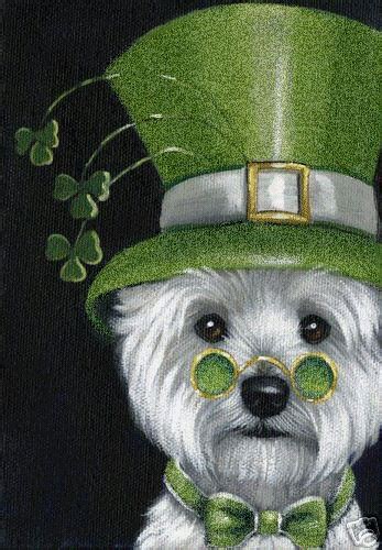 st patricks day dog pictures   images  facebook tumblr