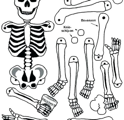 body coloring pages  preschoolers  getcoloringscom
