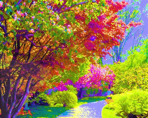 paintings  artists original unusual art painting  colorful tree  stream