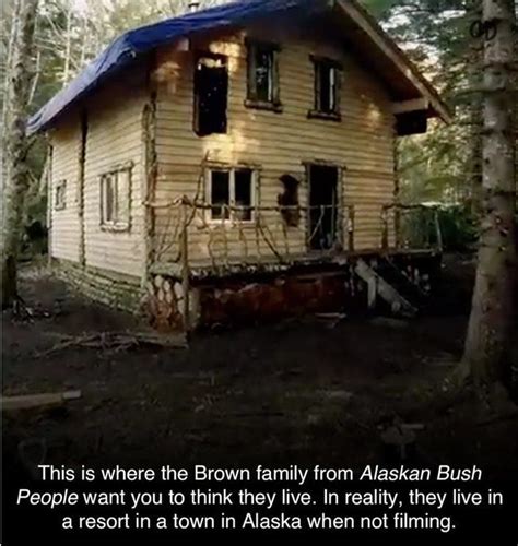 house   woods     reads     brown fairy  alaska bush