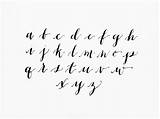 Alphabet Cursive Handwriting Script Caligraphy Lowercase Skillshare Alphabets Pisma Krój Journaling sketch template