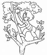 Picking Coloring Apple Pages Tree Clipart Colouring Child Climbing Clip Kids Cliparts Printable Color Clipartbest Library Getcolorings Choose Board sketch template