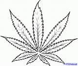 Leaf Cannabis Tattoo Weed Drawing Marijuana Coloring Plant Clipart Draw Pot Drawings Pages Joint Simple Hemp Clip Tattoos Drugs Smoking sketch template