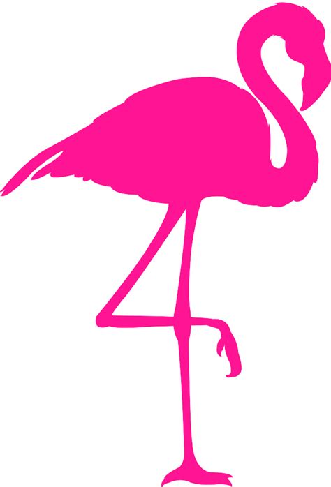 flamingo silhouette  vector silhouettes