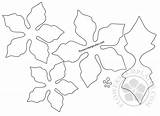 Poinsettia Template Flower Outline Paper Templates Drawing Printable Pattern Flowers Getdrawings Leave Flowerstemplates sketch template