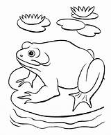 Coloring Pond Pages Lake Frog Animals Books Printable Color Getcolorings Categories Similar Getdrawings Popular sketch template