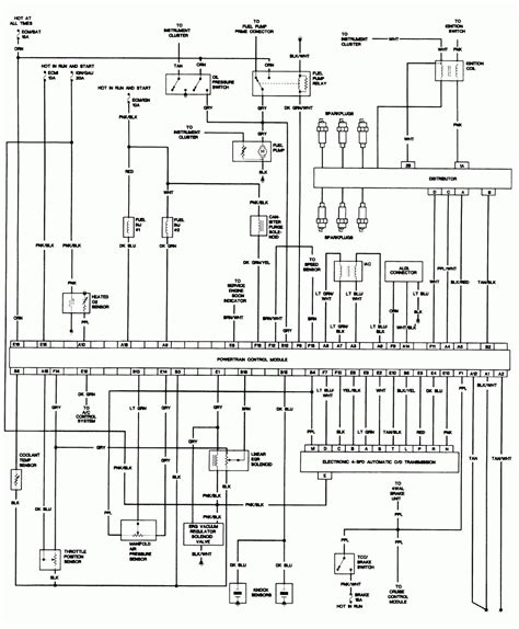wire  volt wiring diagram cadicians blog