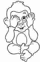 Coloring Pages Monkeys Easy Hard Baby Activity sketch template