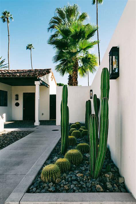 cactus garden  palm springs residence  stocksy contributor visualspectrum stocksy