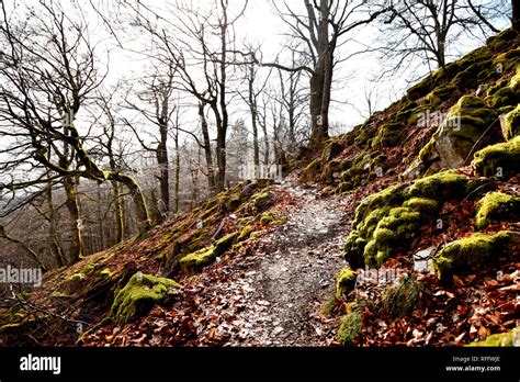 hochwald hunsruck  res stock photography  images alamy