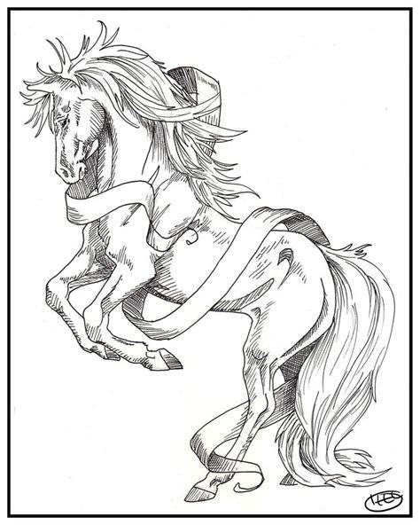 images  horse coloring pages  pinterest arabian