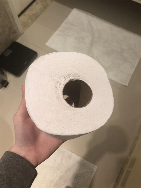 toilet paper roll   centre rmildyinteresting