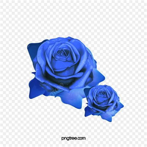 rosa azul png dibujos rosas azules azul rosas png  psd  descargar gratis pngtree