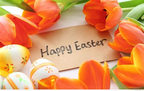 happy easter easter  wishes images  gifs    send