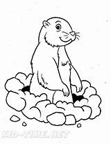 Gopher Coloring Pages Book Animals Time Printables sketch template